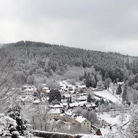 아파트 Haus Westharz Clausthal