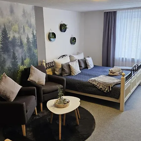 Apartment Haus Westharz Clausthal