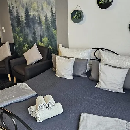 Apartment Haus Westharz Clausthal *