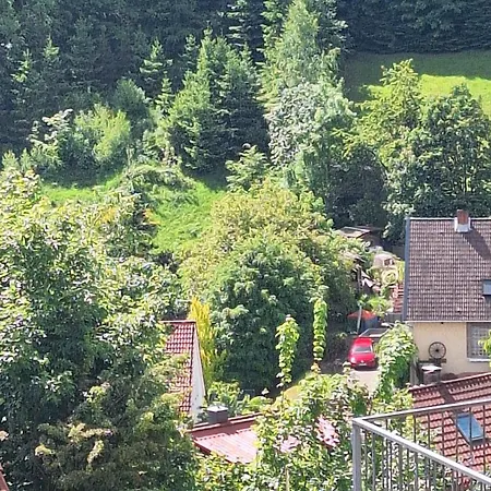 Haus Westharz Clausthal 아파트